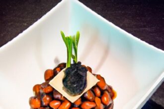 Unlocking the Magic: The Art of Japanese Natto Fermentation