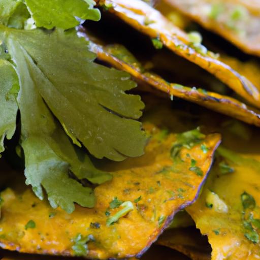 Crunch Without Carbs: Discover Zero Carb Tortilla Chips