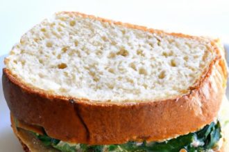 Plant-Powered Bites: Creative Vegan Sandwich Ideas to Try